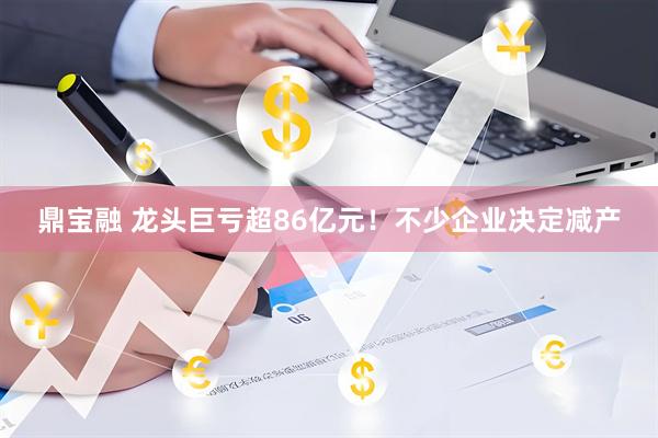 鼎宝融 龙头巨亏超86亿元！不少企业决定减产