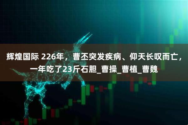 辉煌国际 226年，曹丕突发疾病、仰天长叹而亡，一年吃了23斤石胆_曹操_曹植_曹魏