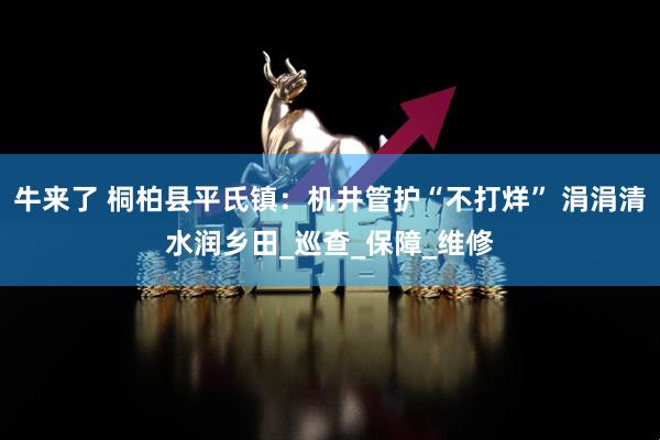 牛来了 桐柏县平氏镇：机井管护“不打烊” 涓涓清水润乡田_巡查_保障_维修