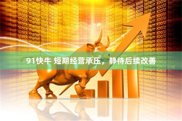 91快牛 短期经营承压，静待后续改善