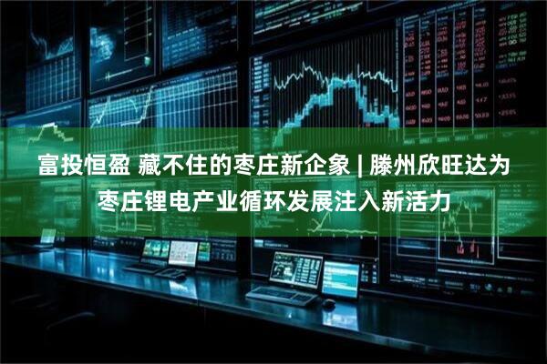 富投恒盈 藏不住的枣庄新企象 | 滕州欣旺达为枣庄锂电产业循环发展注入新活力